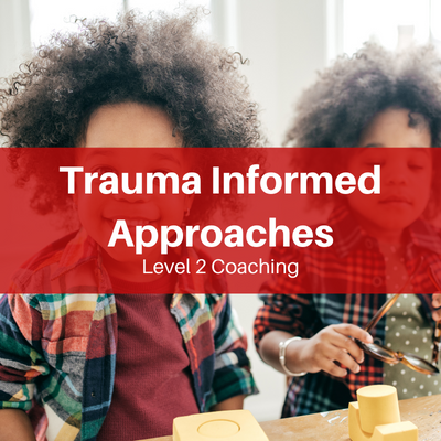 T2: Trauma Informed Approaches