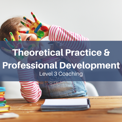 T3: Theoretical Practices and Professional Development